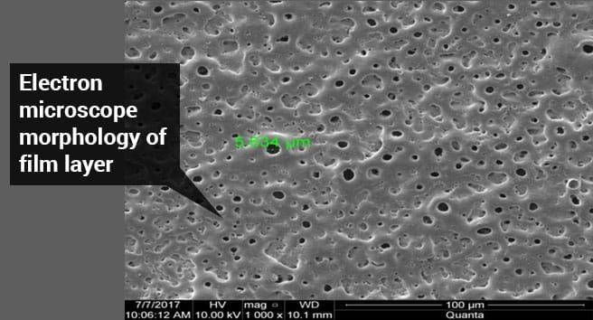 Electron Microscope Morphology of Film Layer